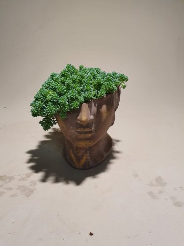 Nur grün im Kopf